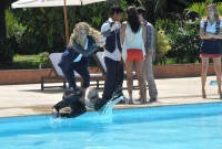 /album/galeria-de-fotos/pedro-tomas-e-carla-atiram-diego-na-piscina-munir-chatack-16-jpg/